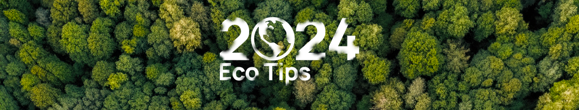 How to be more eco-friendly in 2024