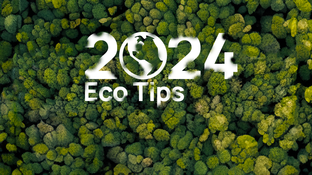 How to be more eco-friendly in 2024